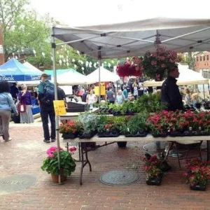 salem farmers market